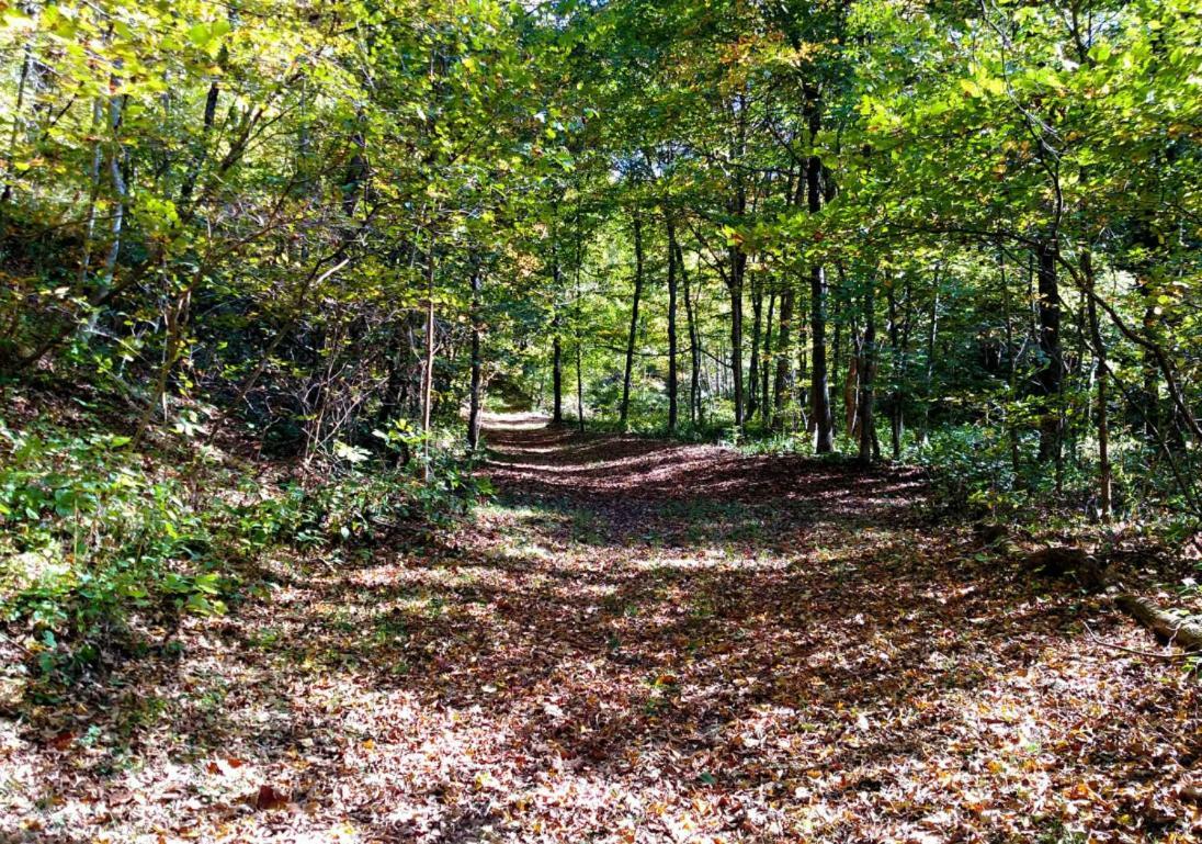 Altenbrauch Farm - Camping In The Hocking Hills Stella Luaran gambar